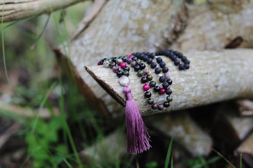 Beaded Necklace on a Tree Branch