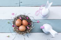 迷人的木制背景上，复活节主题与蛋窝和装饰兔子相映成趣