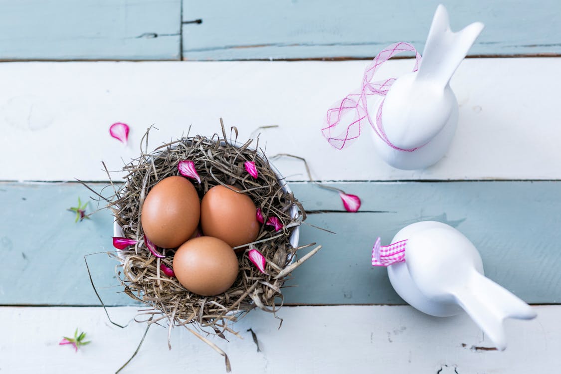 Free Three Brown Eggs On Nest Stock Photo