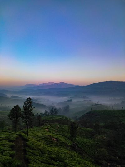 Mountain Safari Munnar