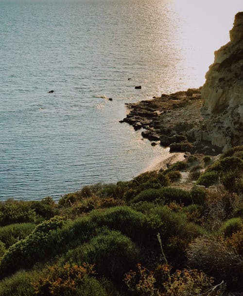 бесплатная Бесплатное стоковое фото с вода, живописный, остров Стоковое фото