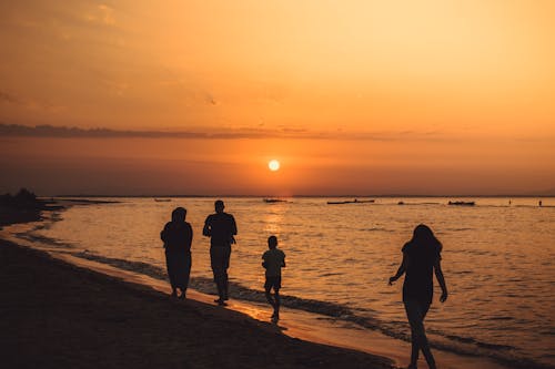 Gratis Siluet Orang Yang Berjalan Di Pantai Saat Matahari Terbenam Foto Stok