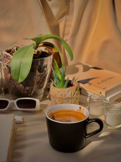 Free Warm morning coffee with houseplants, books, and candles on a table. Perfect cozy setup. Stock Photo