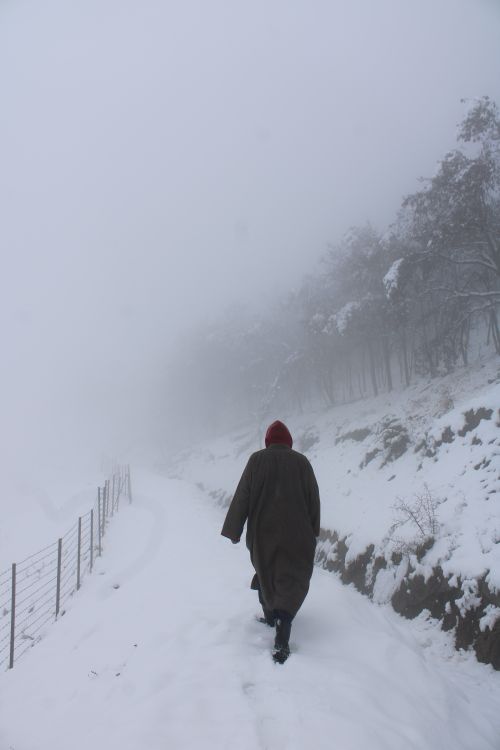 Free A person trudges through a snowy path during a snowstorm, surrounded by a serene winter landscape. Stock Photo