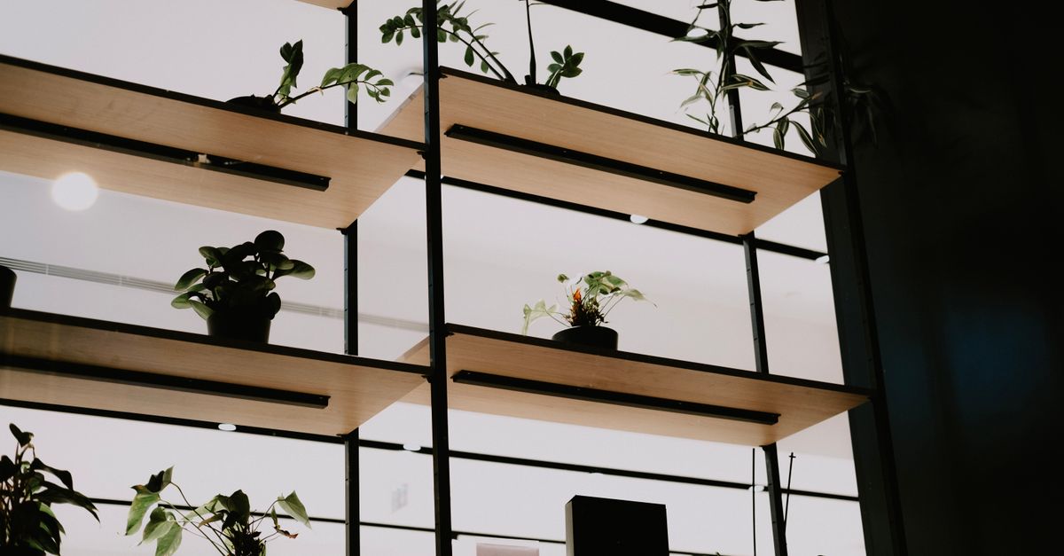 Aménager un jardin d'intérieur : les meilleures techniques