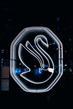 A glowing swan-shaped neon sign at night, providing a captivating urban aesthetic.
