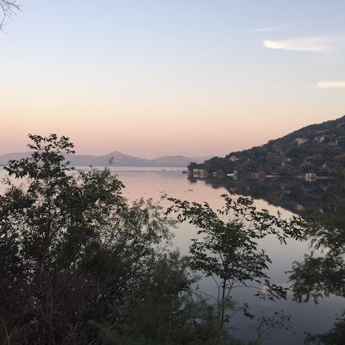 Foto profissional grátis de África do Sul, cor, paleta de cores