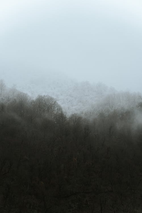 免費 垂直拍攝, 天氣, 山 的 免費圖庫相片 圖庫相片