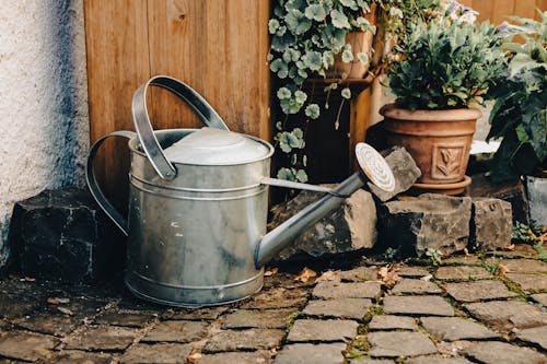 Watering Can and Potted Plants Outdoors 