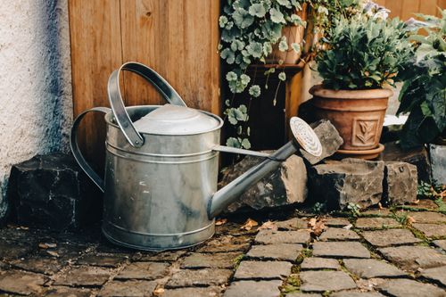 Free A rustic garden scene featuring a watering can placed on cobblestones with potted plants in the background. Stock Photo