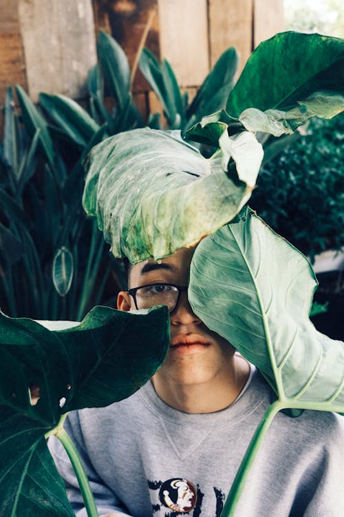 Portrait of a Boy Hiding His Face behind Leaves
