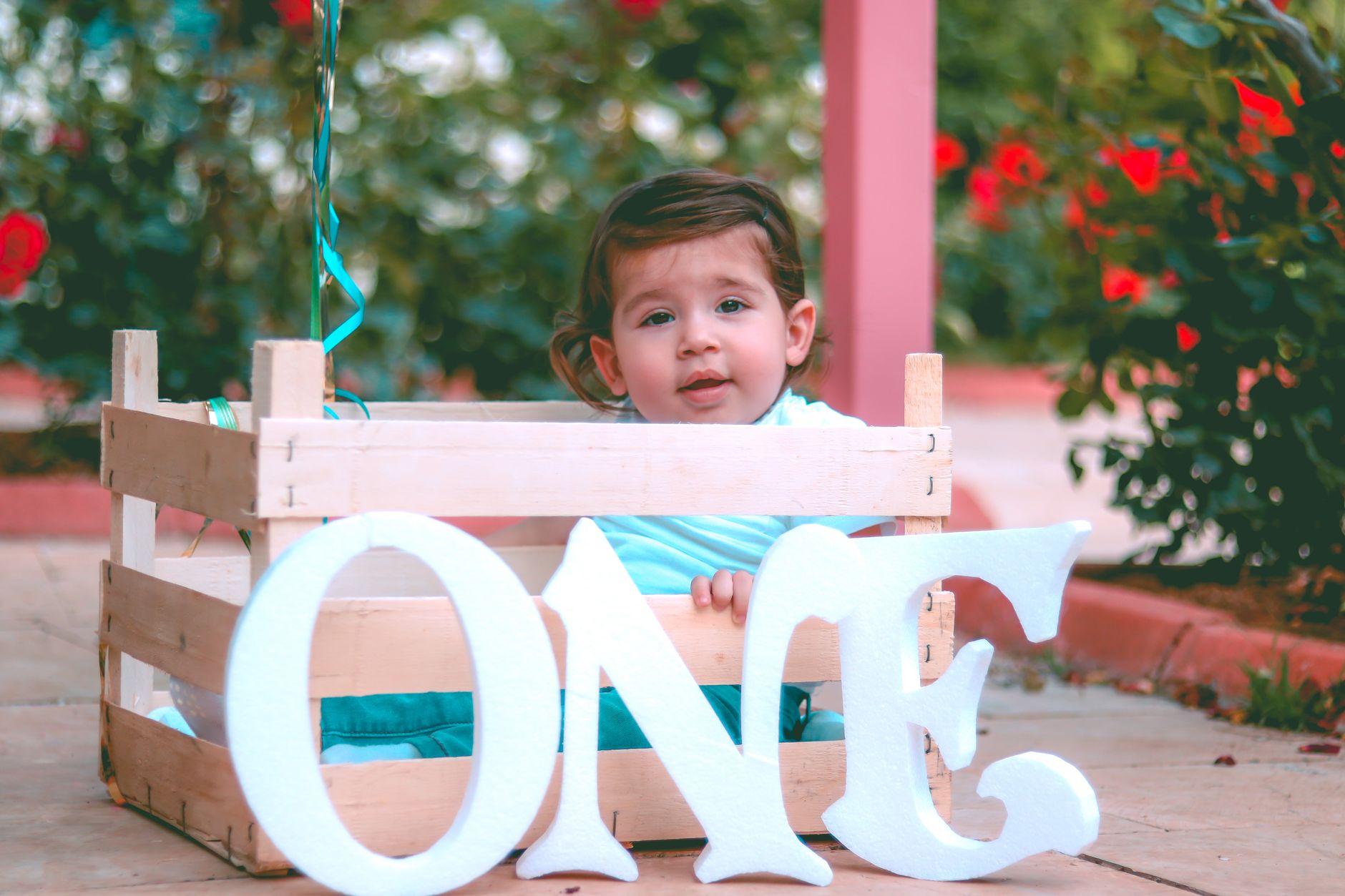 carnival themed birthday egypt — Charming outdoor photoshoot featuring a young child in a wooden crate with a 'ONE' sign surr