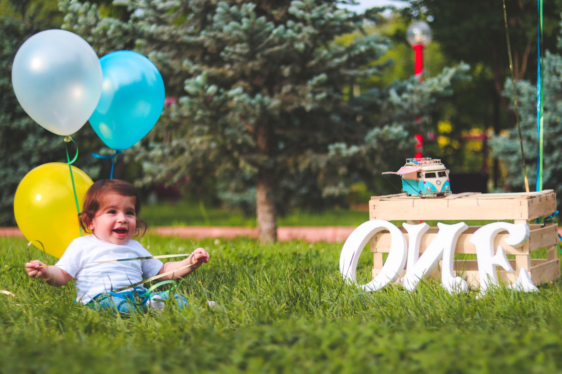 first birthday party planning egypt — Happy toddler with balloons celebrating first birthday in a grassy park.