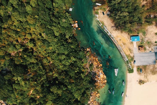 航拍画面令人惊叹，展示了郁郁葱葱的森林、蜿蜒的河流以及停泊着船只的沙质海岸