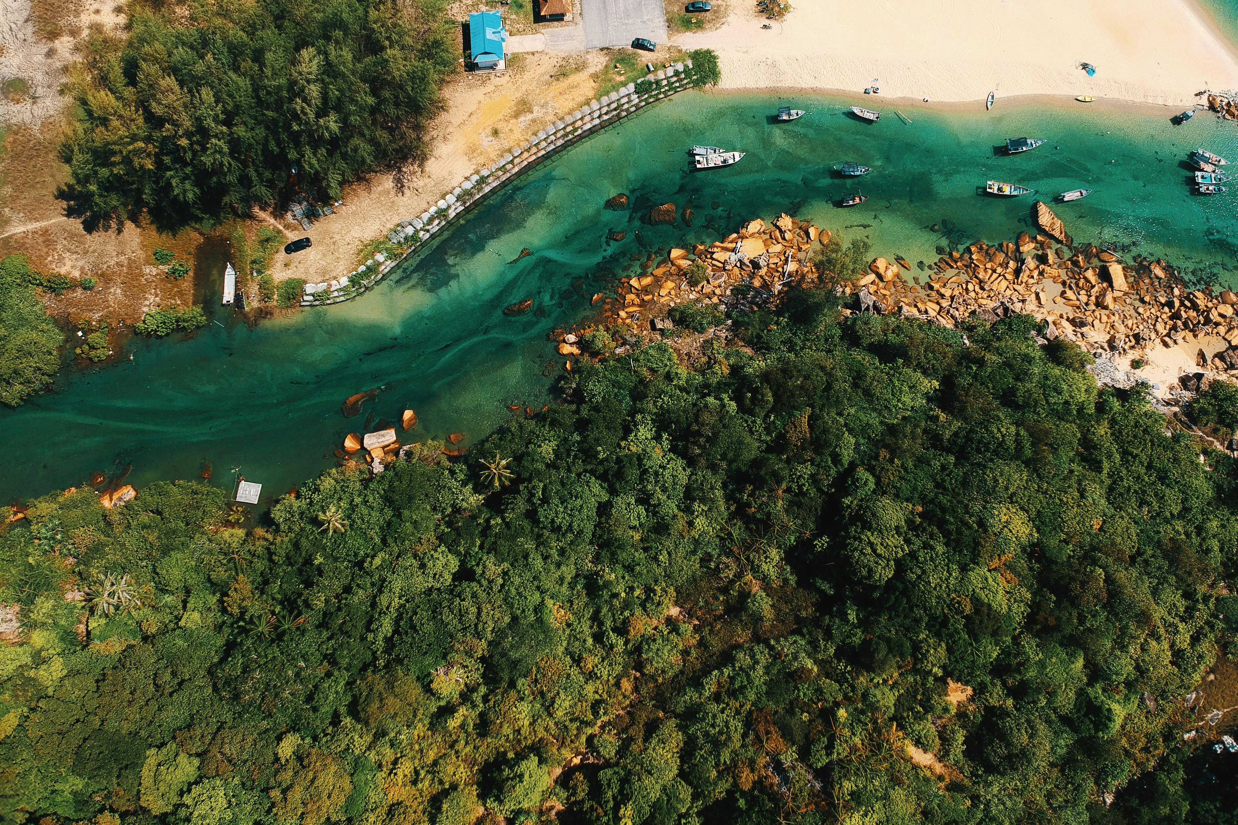 Aerial Photography Of Body Of Water And Trees · Free Stock Photo