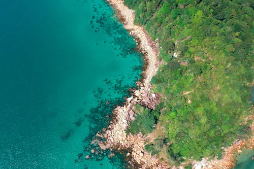 бесплатная Остров, окруженный водой Стоковое фото