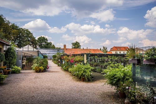 Foto profissional grátis de Jardim Botânico, jardim de flores