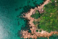 充满活力的航拍照片中，多岩石的海岸线与清澈的海水及郁郁葱葱的绿色植物交相辉映