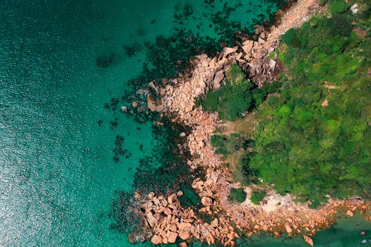 充满活力的航拍照片中，多岩石的海岸线与清澈的海水及郁郁葱葱的绿色植物交相辉映