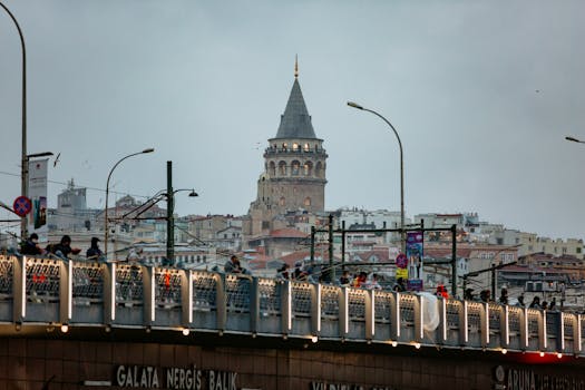 Image by Ali Kargı