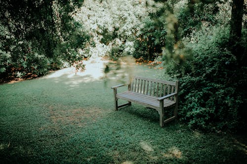 Foto profissional grátis de ao ar livre, assento, de madeira