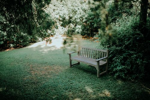 Free A serene wooden bench surrounded by lush greenery in a peaceful garden setting. Stock Photo