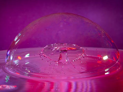 Gratis lagerfoto af boble, gennemsigtig, klar
