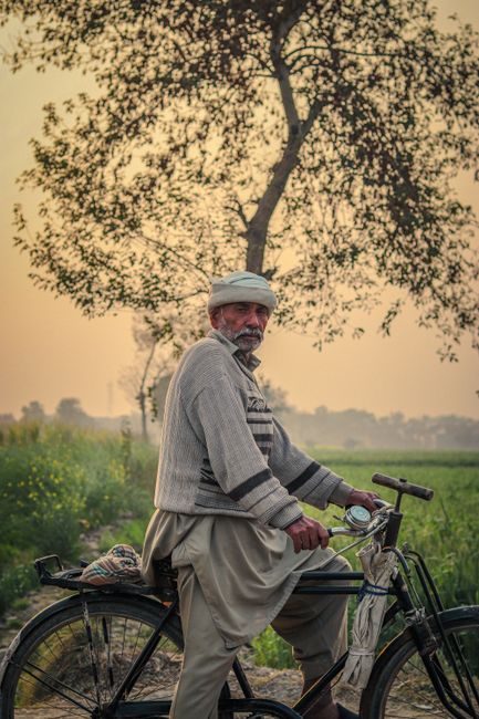 Elderly man riding a bicycle through a peaceful countryside at sunset. Ideal for lifestyle and travel themes.