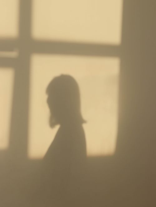 Free Silhouette of a woman cast on a wall by soft window light, creating a serene atmosphere. Stock Photo