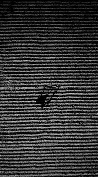 Aerial view of a tractor plowing a field, creating striking black and white lines in Seyhan, Turkey.