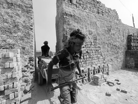 Men Working in Brick Factory