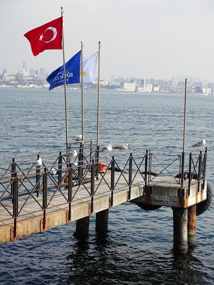 Turkish Flag On Pier