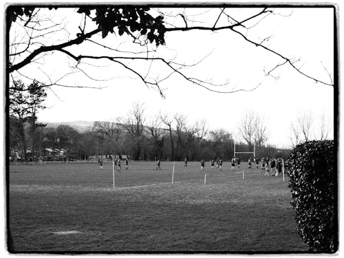 Grayscale Photo of People on Grass Field Near Bare Trees