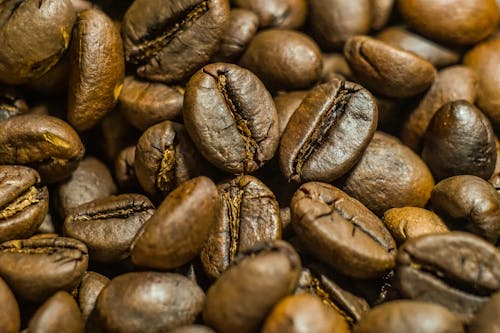 Free Close up of Coffee Beans Stock Photo