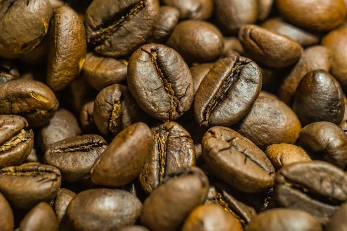 Pact Coffee Christmas Blend whole beans
