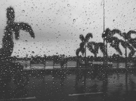 加尔各答的照片中，黑色和白色的雨滴在窗口，与模糊的棕榈树和街景交织