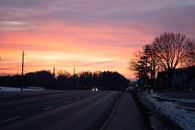 Bare Trees Near Road during Sunset