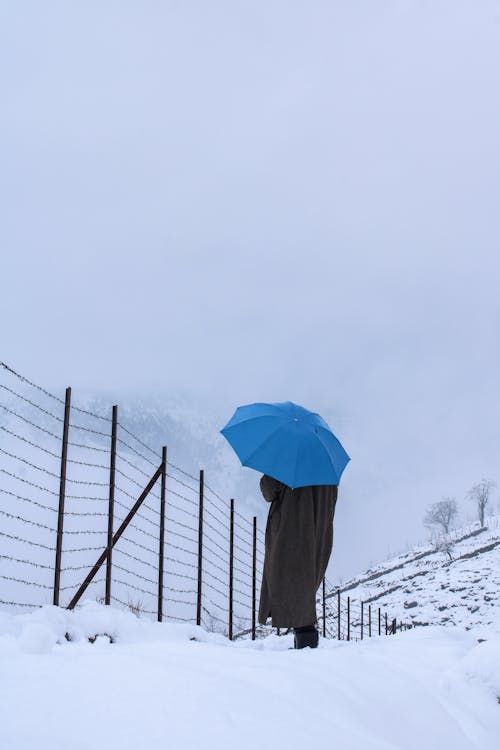 Foto d'estoc gratuïta de amb boira, cobert de neu, constipat