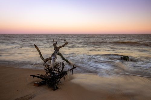 Free Tranquil scene of driftwood on a sandy Brazilian beach with calm waves and a purple sunset sky. Stock Photo