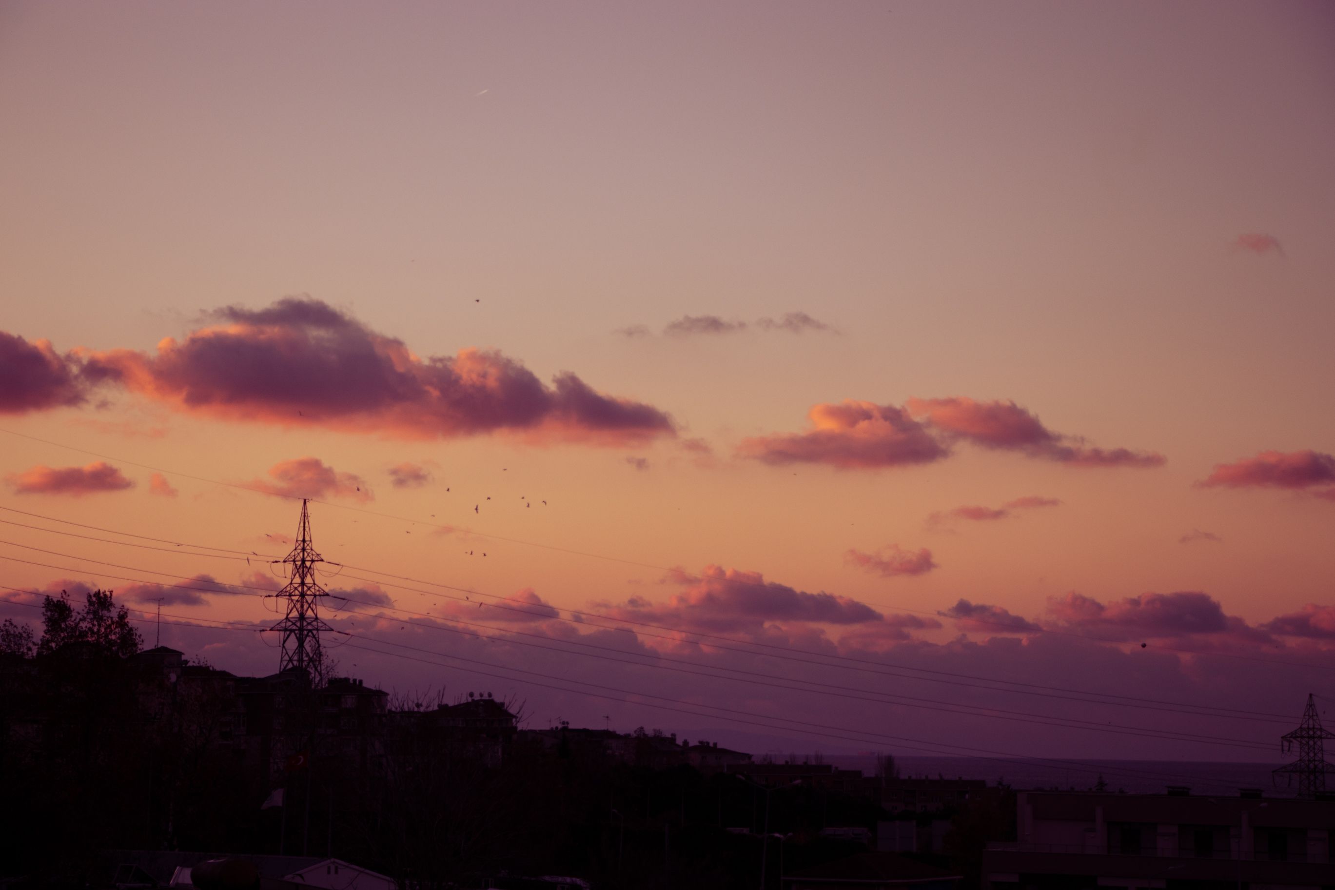 Silhouette of Trees and Power Line During Sunset · Free Stock Photo