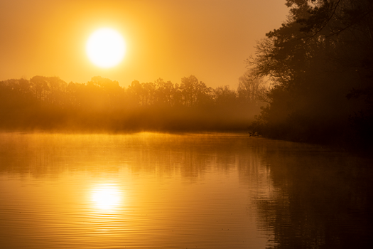 Tranquil sunset over a calm lake with trees and golden light reflections.
