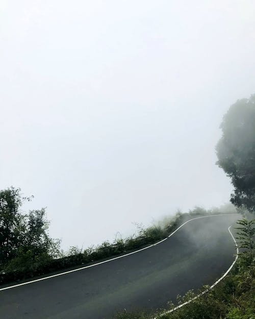 Foto d'estoc gratuïta de amb boira, asfalt, carretera