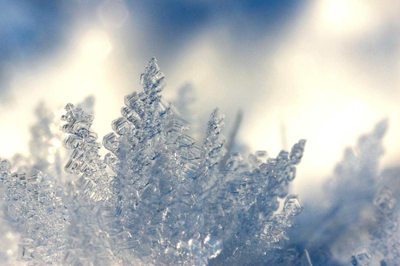 Ice Crystals Wallpapers - Top Free Ice Crystals Backgrounds ...