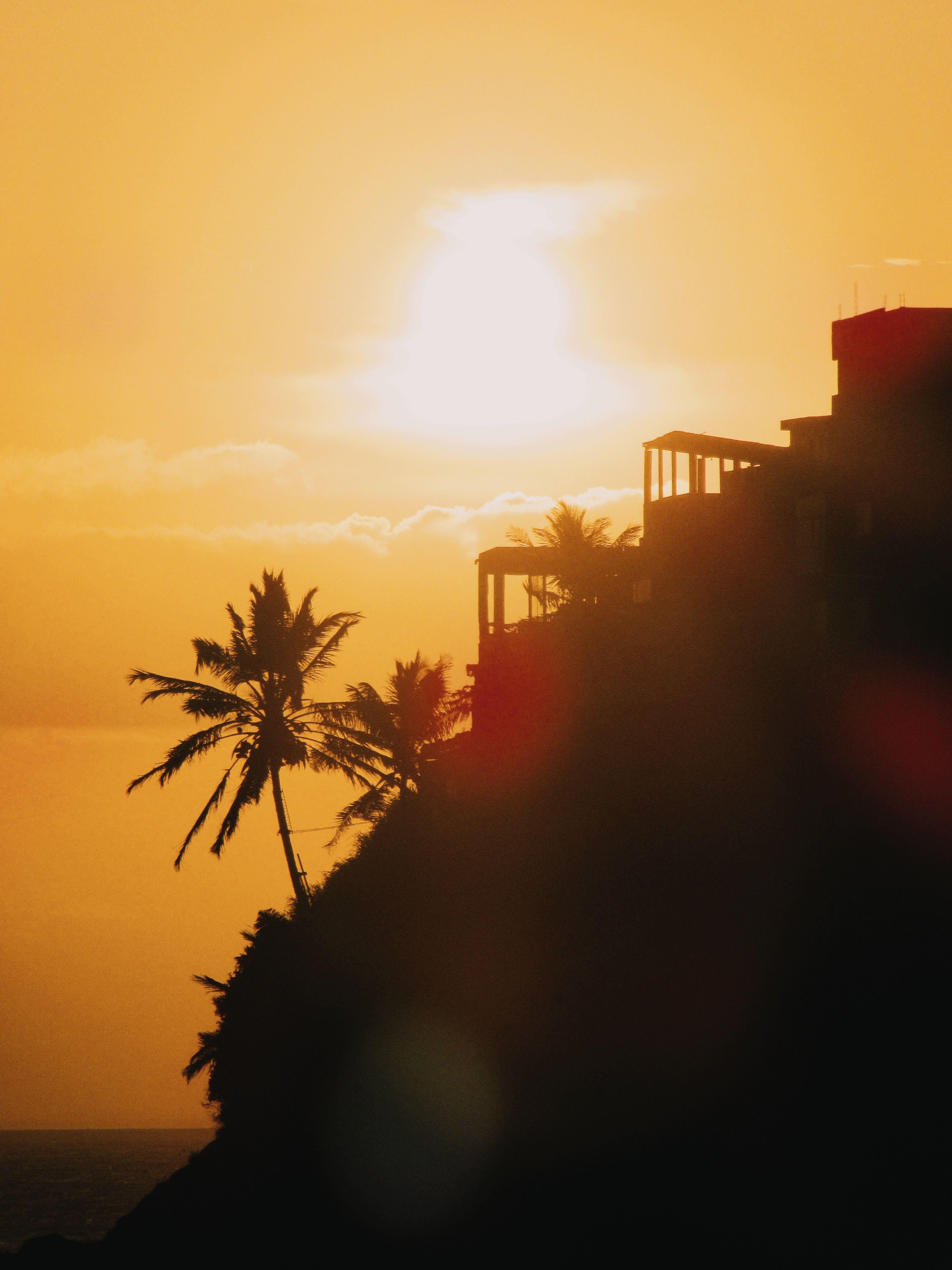 Stunning sunset with silhouettes of palm trees and buildings in Salvador, Brazil.