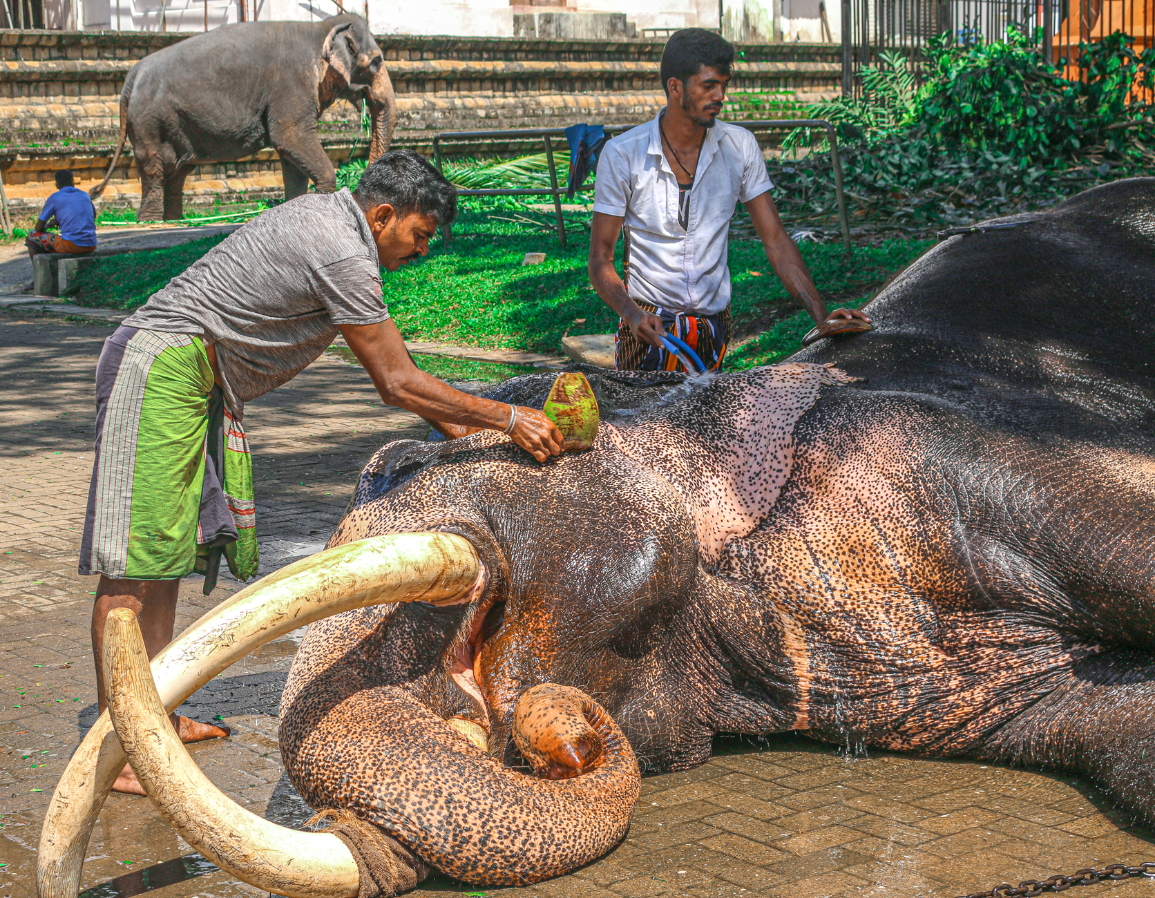 Kandy Bathing Places: Where to Swim and Cool Off