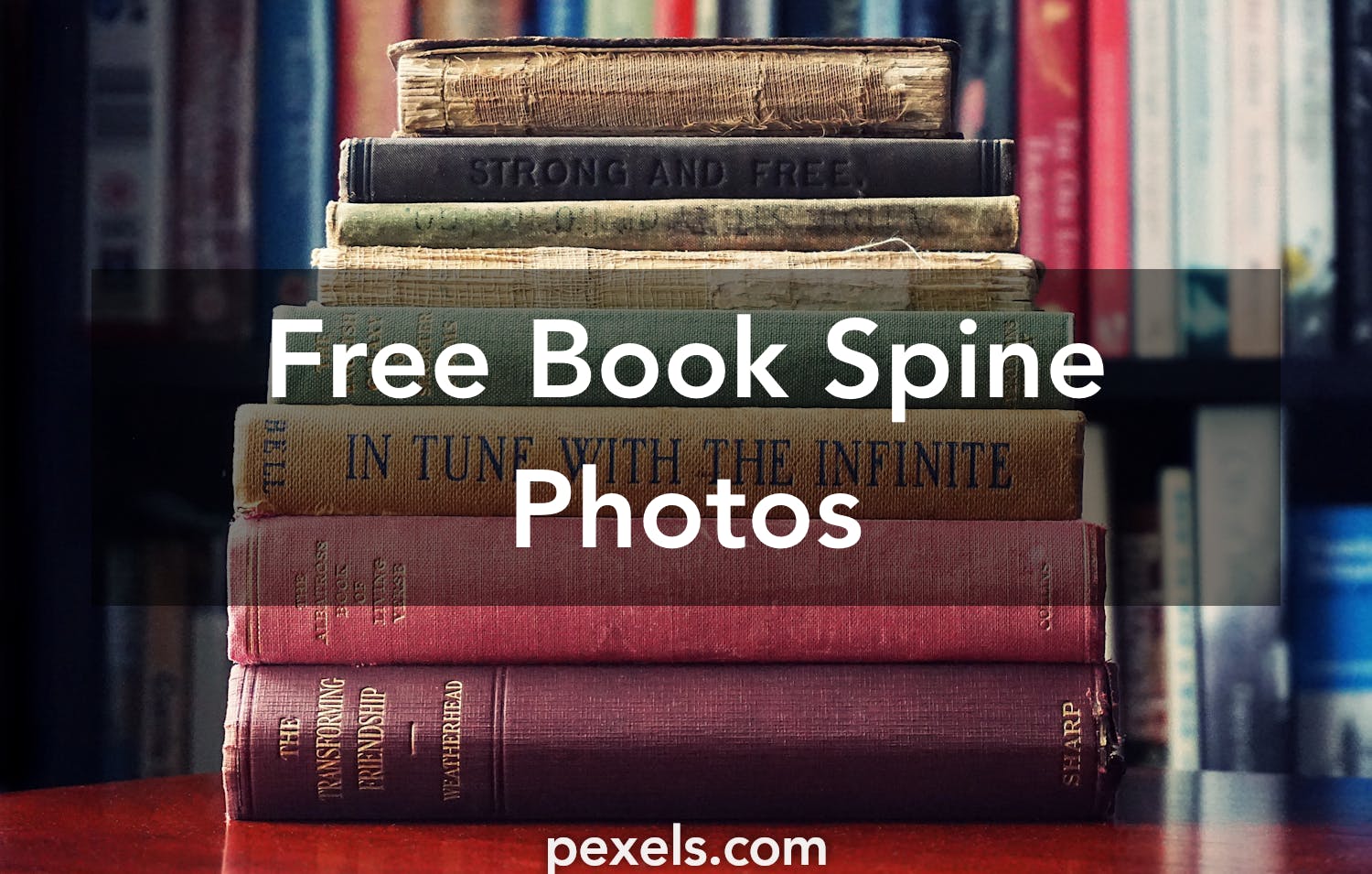 500  Great Book Spine Photos · Pexels · Free Stock Photos