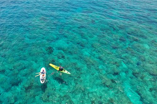 Free Drone shot of two people paddleboarding over crystal clear turquoise water, showcasing summer fun. Stock Photo