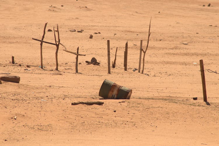 Barrel And Sticks On Desert