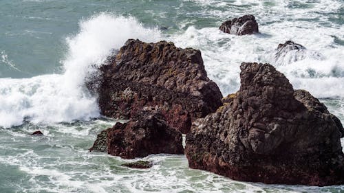 岩, 岸, 水の無料の写真素材