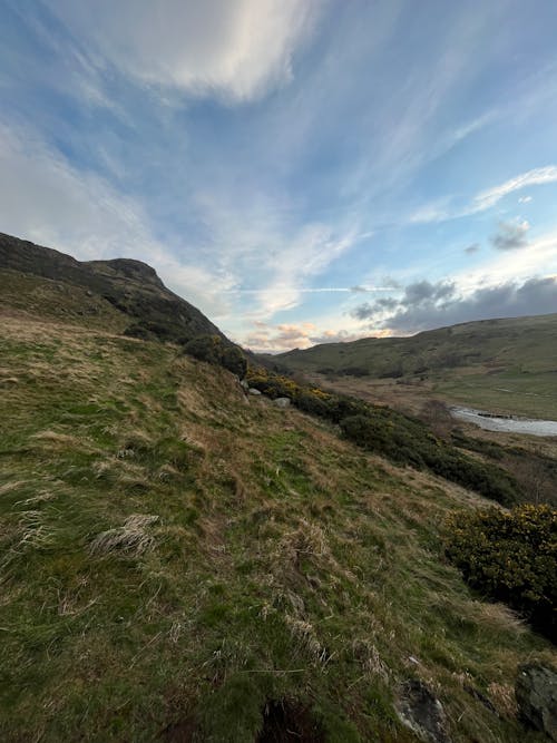 A Hillside Covered in Grass